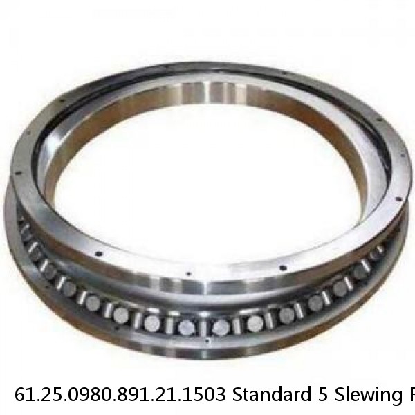 61.25.0980.891.21.1503 Standard 5 Slewing Ring Bearings