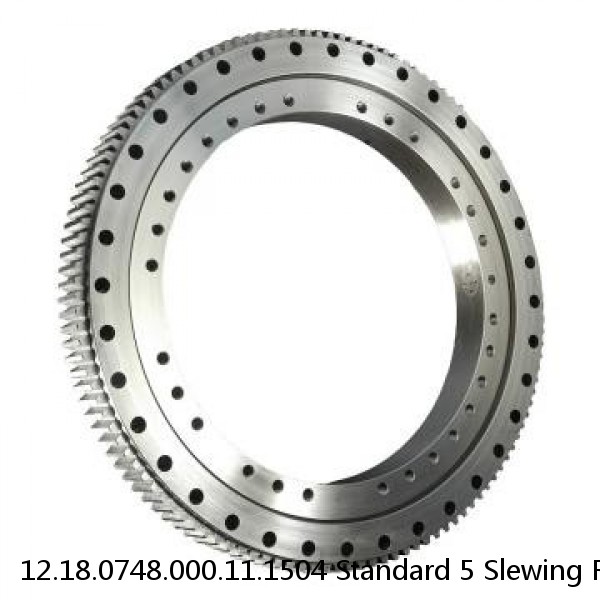 12.18.0748.000.11.1504 Standard 5 Slewing Ring Bearings