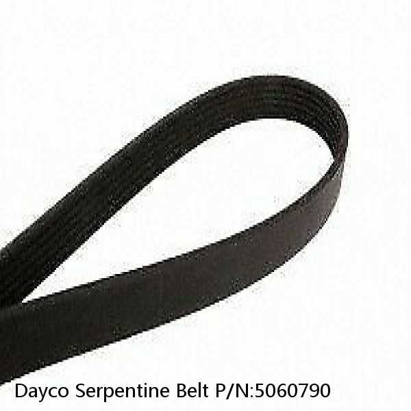 Dayco Serpentine Belt P/N:5060790