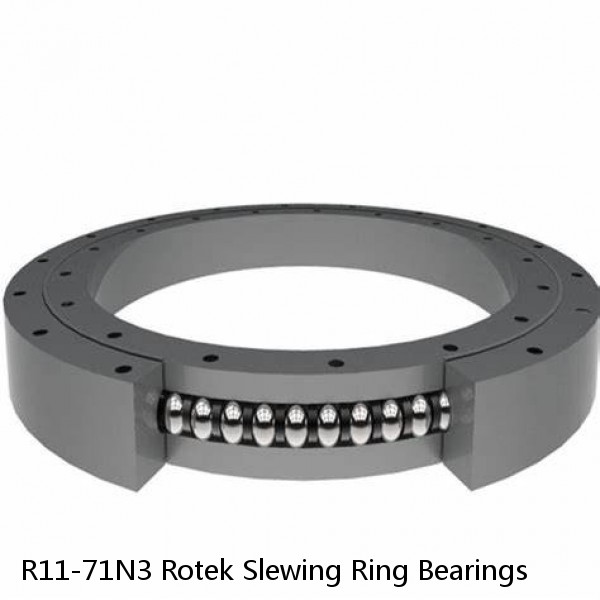 R11-71N3 Rotek Slewing Ring Bearings #1 small image