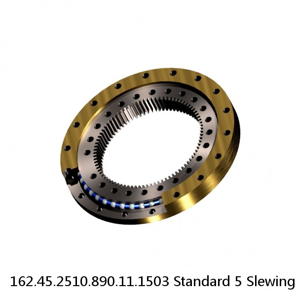 162.45.2510.890.11.1503 Standard 5 Slewing Ring Bearings #1 small image