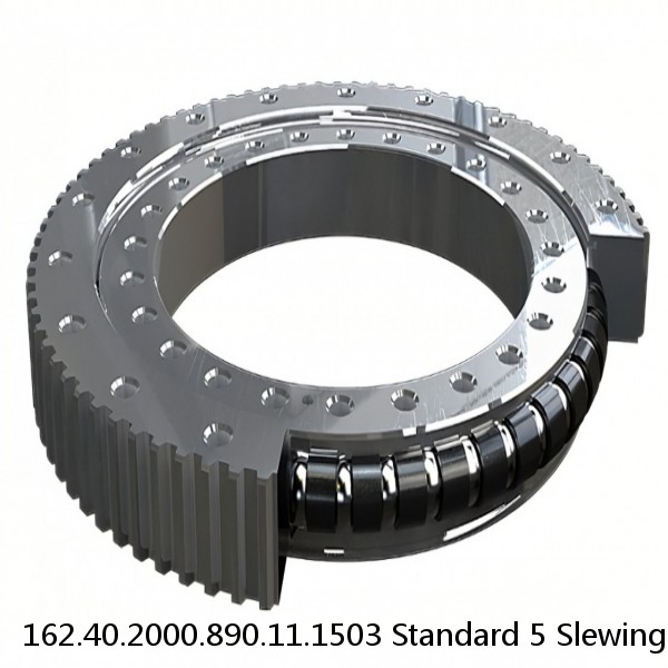 162.40.2000.890.11.1503 Standard 5 Slewing Ring Bearings #1 small image