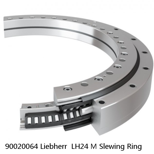 90020064 Liebherr  LH24 M Slewing Ring #1 small image