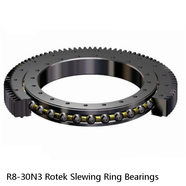 R8-30N3 Rotek Slewing Ring Bearings