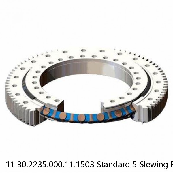 11.30.2235.000.11.1503 Standard 5 Slewing Ring Bearings #1 small image
