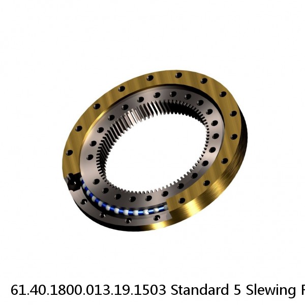 61.40.1800.013.19.1503 Standard 5 Slewing Ring Bearings