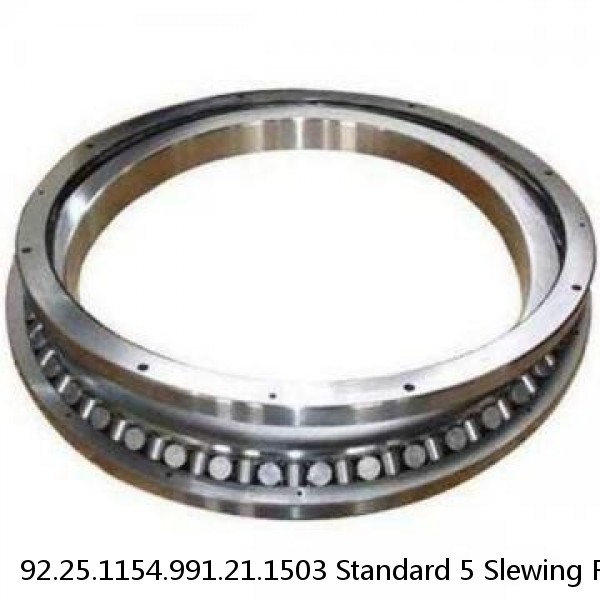 92.25.1154.991.21.1503 Standard 5 Slewing Ring Bearings #1 small image
