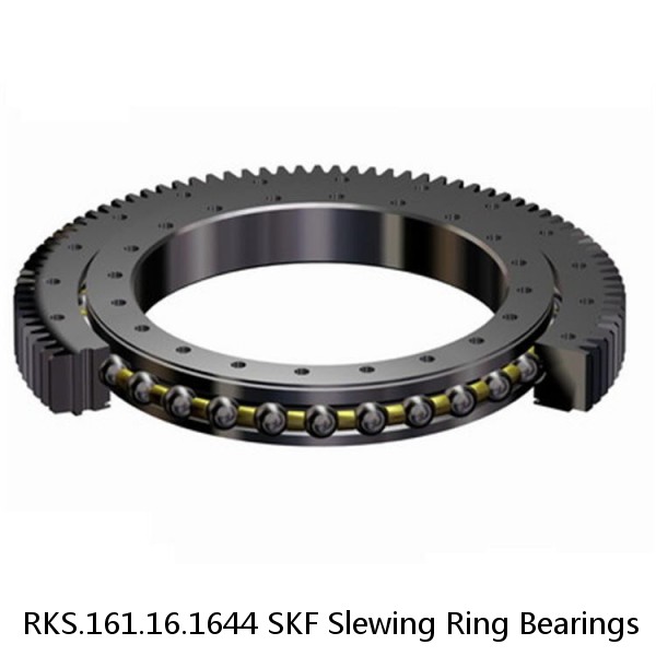 RKS.161.16.1644 SKF Slewing Ring Bearings