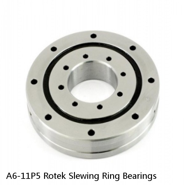 A6-11P5 Rotek Slewing Ring Bearings #1 small image