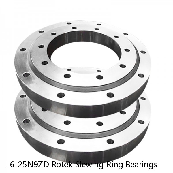 L6-25N9ZD Rotek Slewing Ring Bearings #1 small image