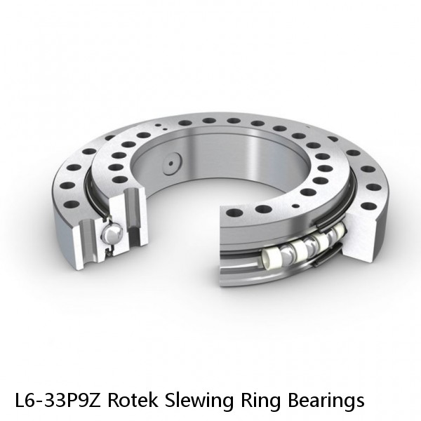 L6-33P9Z Rotek Slewing Ring Bearings