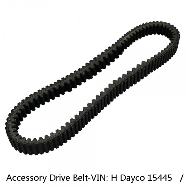 Accessory Drive Belt-VIN: H Dayco 15445   /  11A1130 #1 small image
