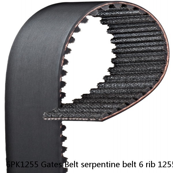 6PK1255 Gates Belt serpentine belt 6 rib 1255 mm (49.5") in length #1 small image