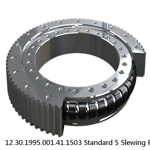 12.30.1995.001.41.1503 Standard 5 Slewing Ring Bearings #1 image