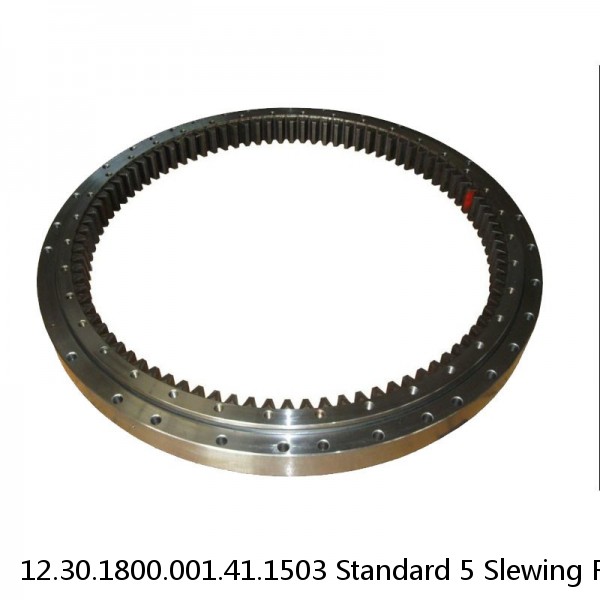 12.30.1800.001.41.1503 Standard 5 Slewing Ring Bearings #1 image