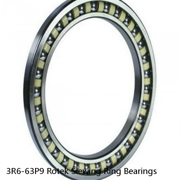 3R6-63P9 Rotek Slewing Ring Bearings #1 image
