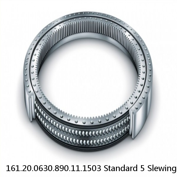 161.20.0630.890.11.1503 Standard 5 Slewing Ring Bearings #1 image