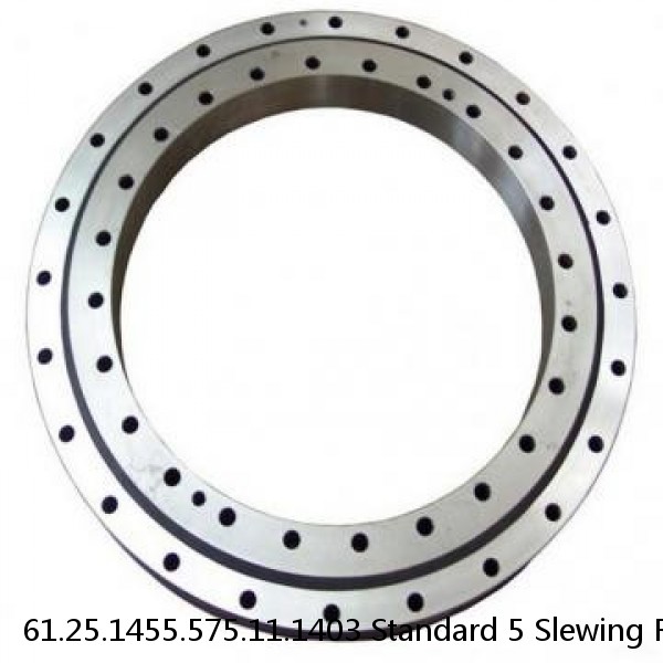 61.25.1455.575.11.1403 Standard 5 Slewing Ring Bearings #1 image