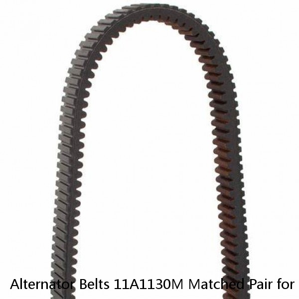 Alternator Belts 11A1130M Matched Pair for Nissan GQ Patrol 4.2L EFI 1992-1997 #1 image