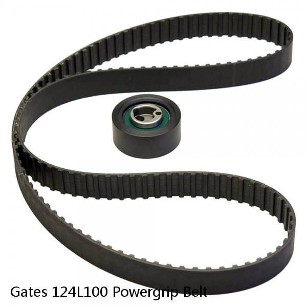 Gates 124L100 Powergrip Belt #1 image