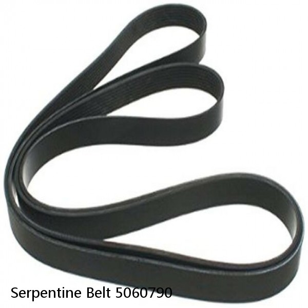 Serpentine Belt 5060790 #1 image
