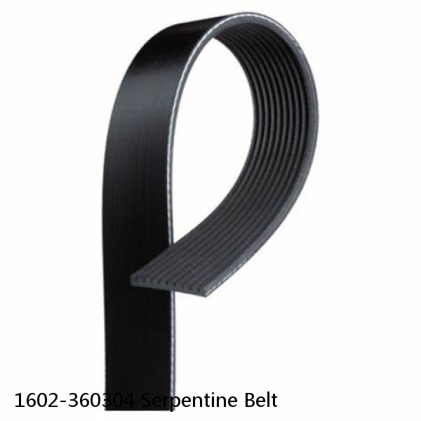 1602-360304 Serpentine Belt #1 image